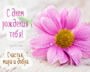 С Днём Рождения тебя! Счастья, мира и добра!